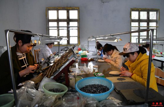 <b>安徽阜阳：企业复工赶订单</b>