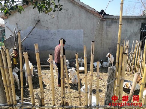 <b>安徽省宋庙村积极开展产业验收工作，筑牢精准扶贫一线</b>