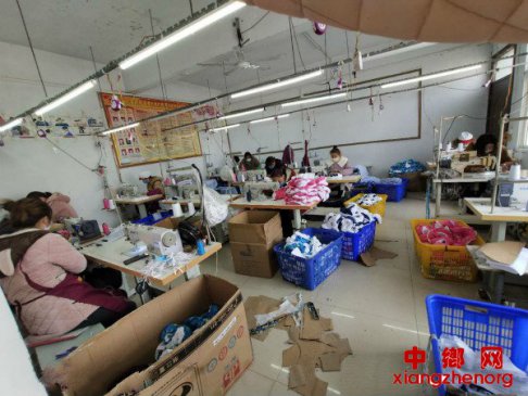 <b>安徽：就业“组合拳” 不让脱贫户因疫返贫</b>