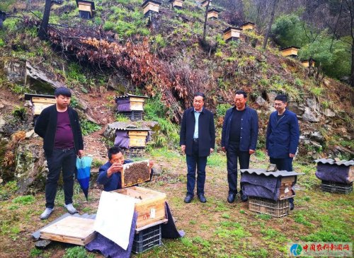 陕西商州：走好群众路线 决胜脱贫攻坚大家谈之沙河子镇党委书记王鹏程