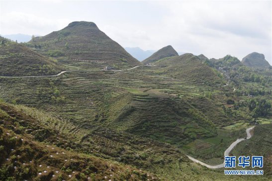 脱贫攻坚｜贵州晴隆县：逐项逐户排查补“短板”