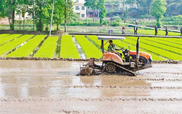 重庆大足：农机化率达57.8％