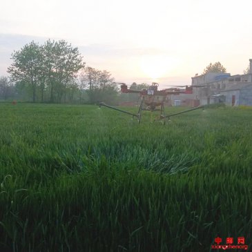 安徽：阜阳颍东区枣庄镇村村都有科技特派员