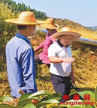 搬出大山的日子，真甜