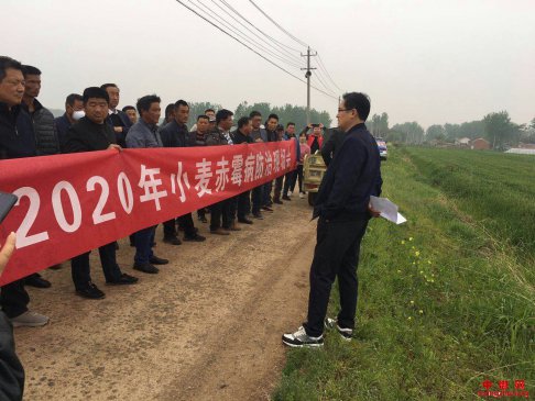 <b>安徽省定城镇成功召开小麦赤霉病防治现场会</b>