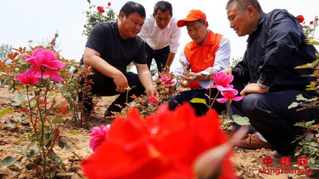 科技服务到田头