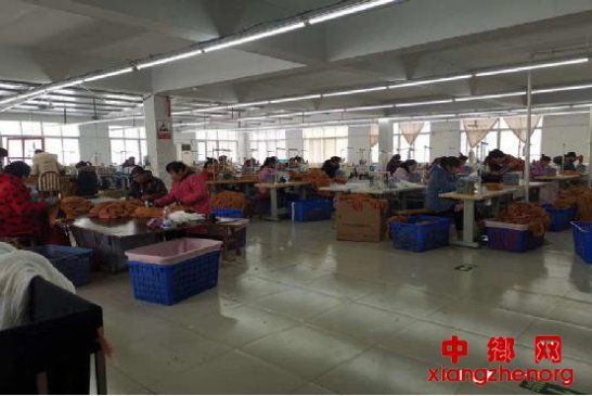 “党建引领+非公企业”，鼓起群众“钱袋子”