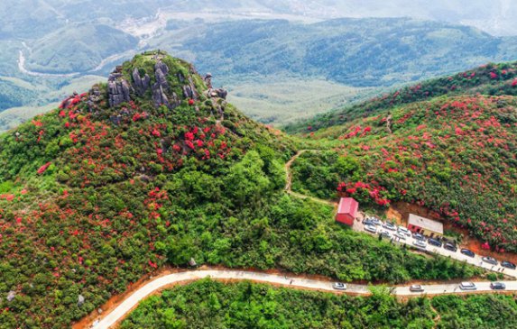 升华山上别样红