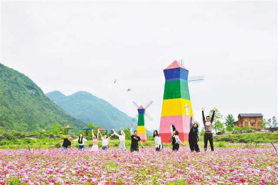 掘金赏花经济 助力乡村振兴