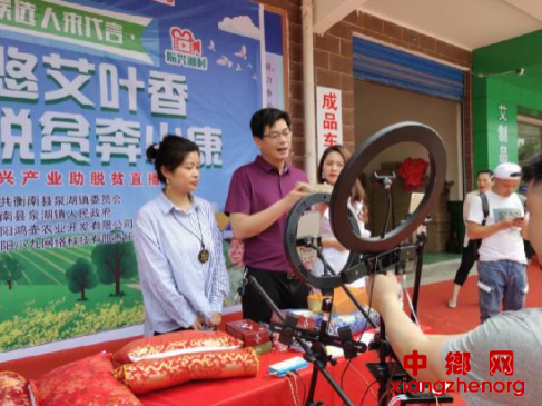 <b>湖南省衡南县泉湖镇：艾草飘香助脱贫，“直播带货”奔小康</b>