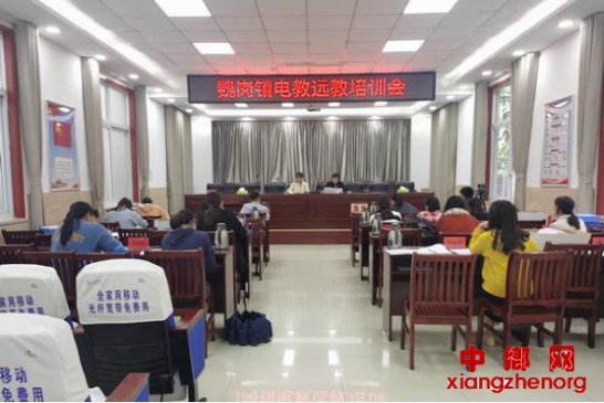 <b>安徽省谯城区魏岗镇：扎实开展电教  远教培训工作</b>