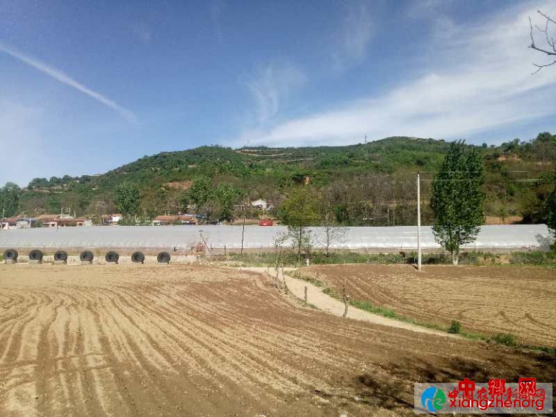 微信图片_20200519092303