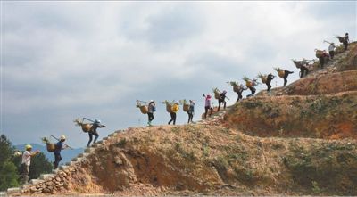 <b>种下脱贫新希望</b>