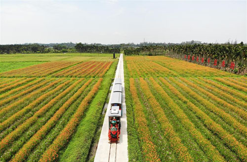 <b>海南琼海：农旅结合助推乡村振兴</b>