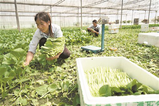 <b>“三间”经济 提质扩面</b>