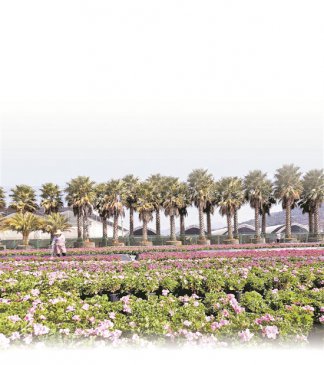 <b>生态农业“靓”洱海</b>