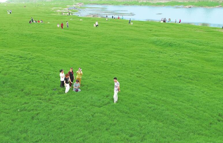 <b>重庆：长江水位回落现草海</b>