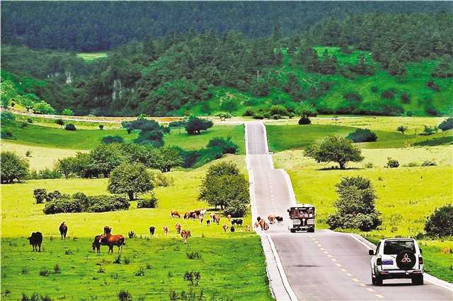 武隆旅游带动贫困群众增收