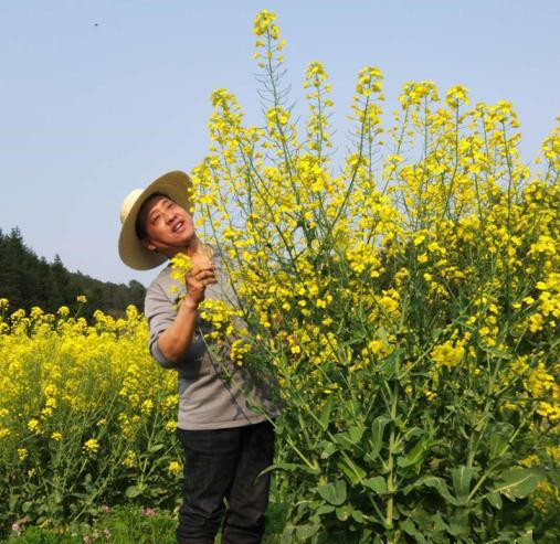<b>全国人大代表沈昌健：规范农村土地流转助农增收</b>