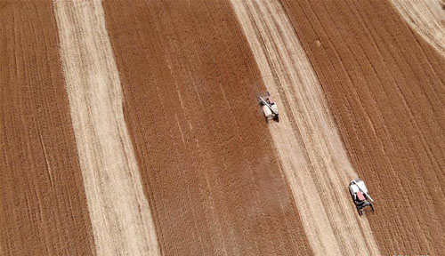 <b>安徽凤阳：收获夏粮</b>