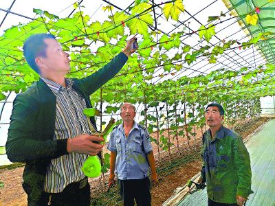 <b>北京顺义区：荆坨村拓荒</b>