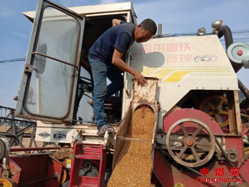 <b>安徽阜阳颍东区枣庄镇抢收帮扶突击队助特殊贫困户抢收小麦</b>