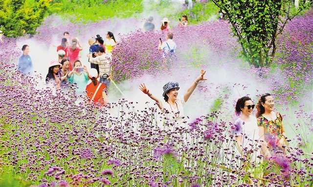 <b>紫色花海</b>