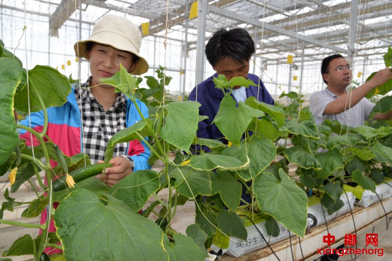 靖边东坑农业科技馆工作人员正在展介绍智慧农业的优势