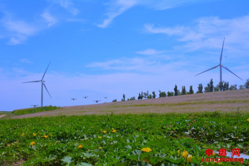 王渠则镇长渠沟村无人机正在喷洒硒肥
