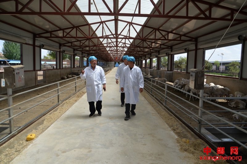 靖边县畜牧业示范中心的智慧养殖