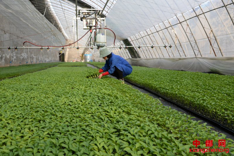 和润农业智慧水肥一体化