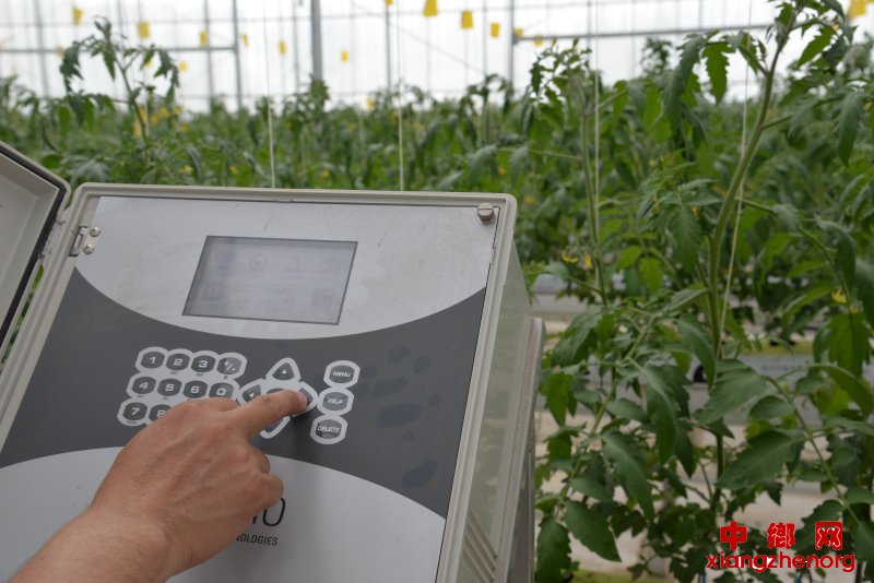 靖边东坑农业科技馆智慧农业