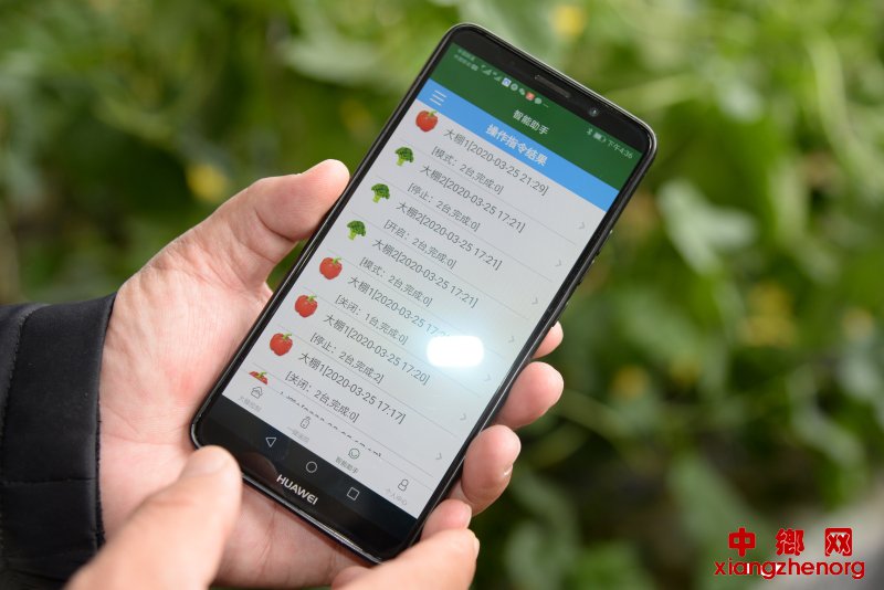 和润农业公司工作人员正在展示用手机种田的智慧农业