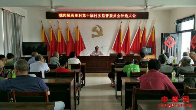 <b>安徽省亳州市谯城区魏岗镇：第十届村务监督委员会补选工作顺利完成</b>