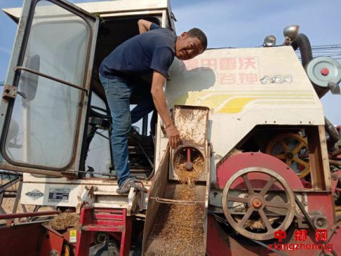 安徽阜阳颍东区枣庄镇午收接近尾声