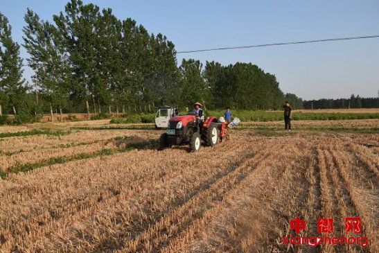 <b>安徽：趁墒播种抢农时</b>