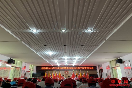 <b>安徽省谯城区颜集镇:党建引领秸秆禁烧促脱贫</b>