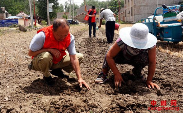 <b>安徽：阜阳市颍东区党员服务队帮扶到田头</b>