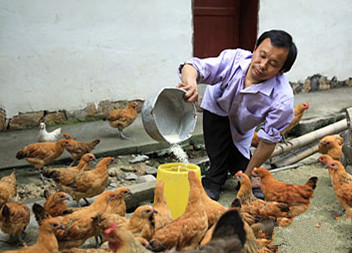 “乐观小老头”，好样的!