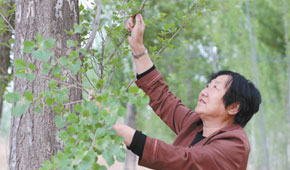 <b>一辈子一件事：沙区里种活10万棵树</b>