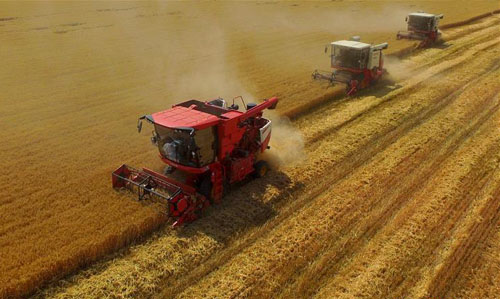 <b>河北：百万农机会战“三夏”</b>