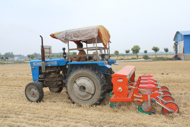 芒种时节夏种忙