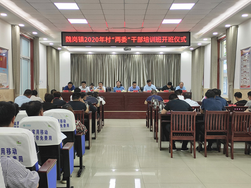 <b>安徽谯城区魏岗镇：全镇齐念“四字诀”，“两委”培训全覆盖</b>