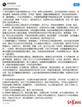 受害女童律师计时俊：王振华案二审时，我会谴责陈有西