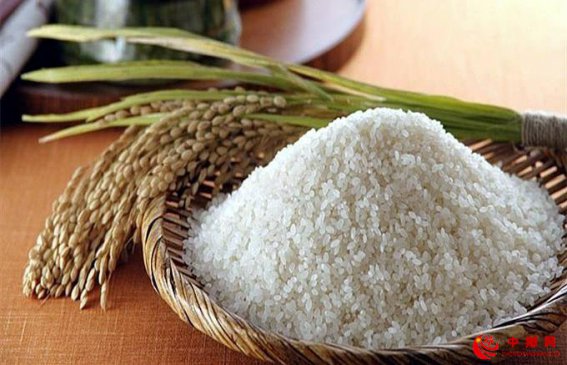 <b>经营主体田间直播学营销</b>