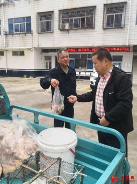 <b>安徽省固镇县刘集镇：扶贫队长变身微商推销肉鸽</b>