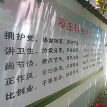 安徽阜阳颍东区枣庄镇 乡规民约“走”上墙