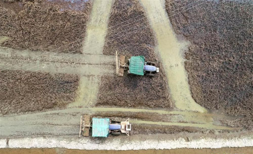 <b>江西南昌：推广“早翻秋” 恢复生产忙</b>