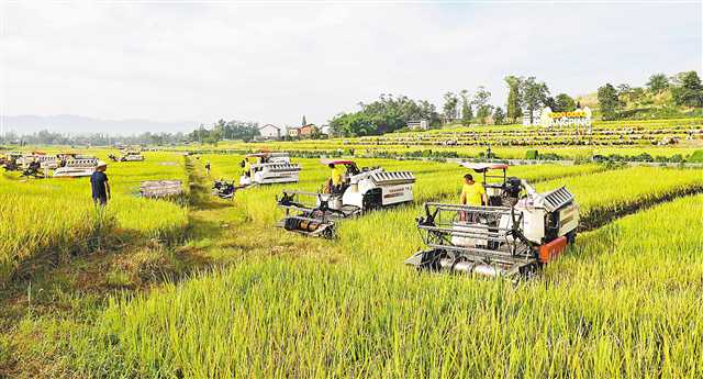 <b>晒秋色 晒丰收 晒民俗 晒幸福</b>