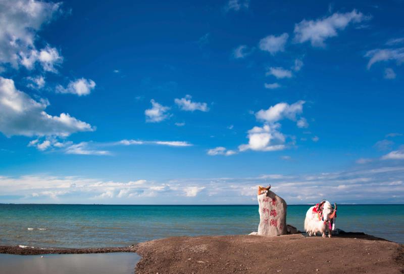 <b>相约茶卡 遇见最美的自己</b>